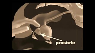 This sex starved shemale thích cảm giác kiểm soát sex sub online tình hình